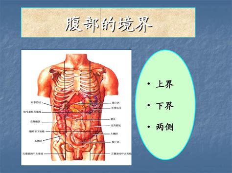 上腹部大